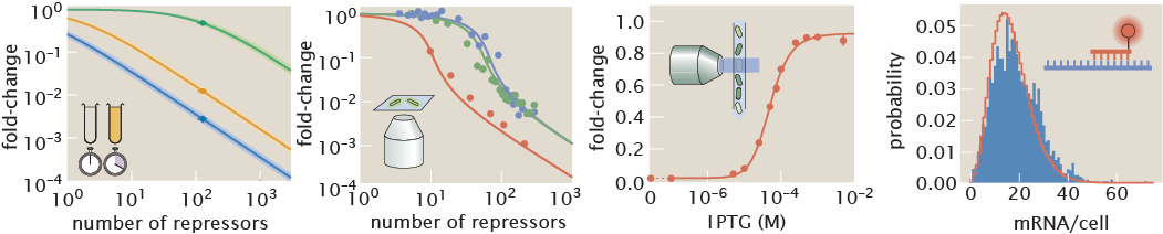 Figure Generation